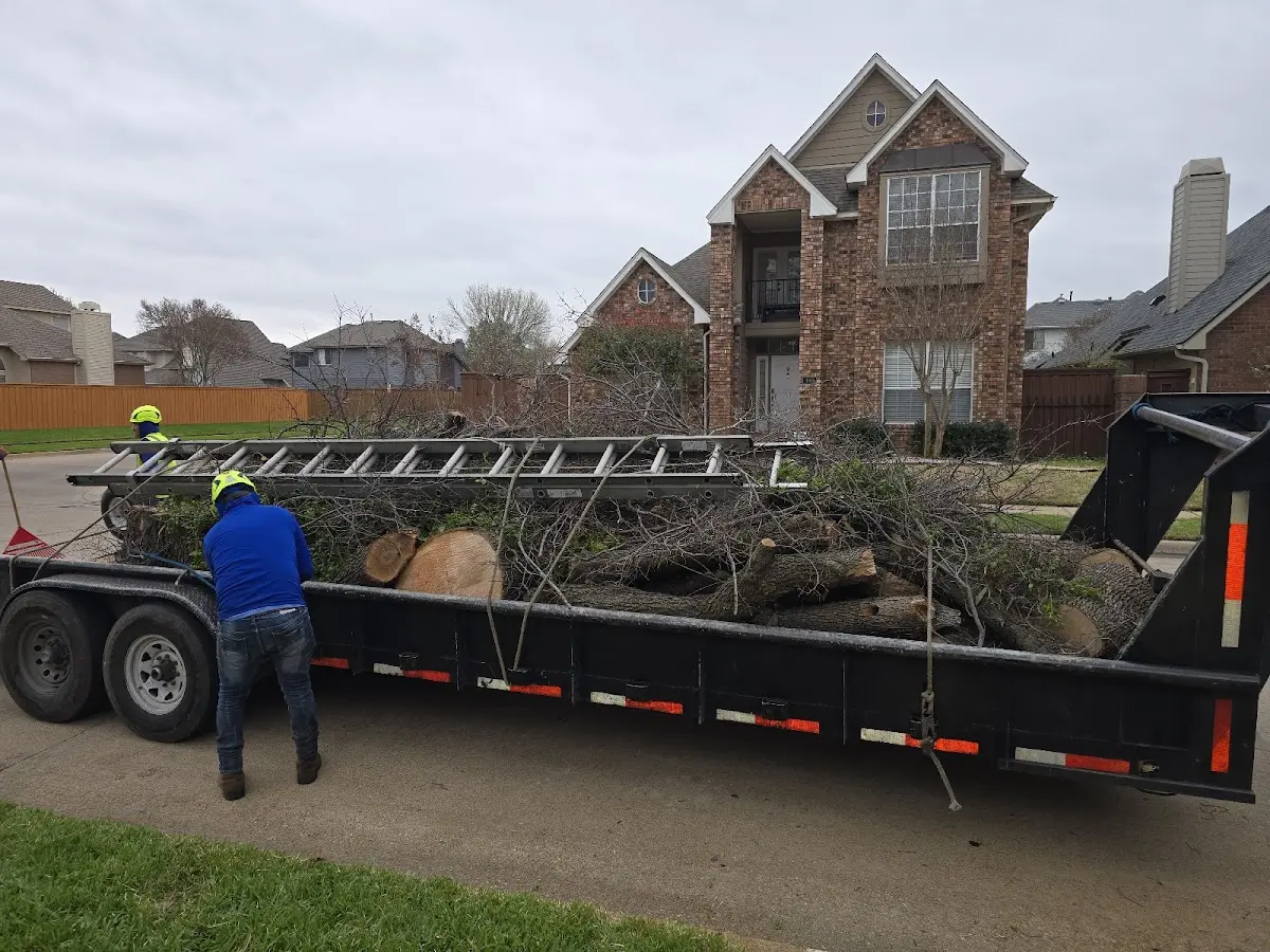 Expert Tree Fertilization with proper safety equipment in Fruitport